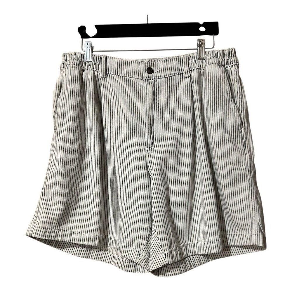 Aerie White Blue Striped Washed Denim Shorts Womens Size L New NWT